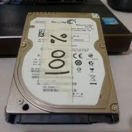 Harddisk Laptop 250GB Sentinel 100%