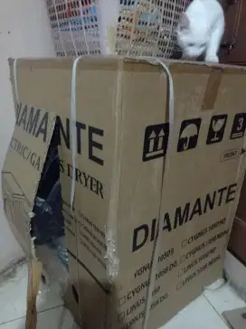Dryer Diamante pengering