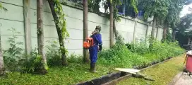 Jasa Potong Rumput & Jasa pengendalian Hama Rumahan