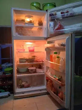 Kulkas LG jumbo 2 pintu