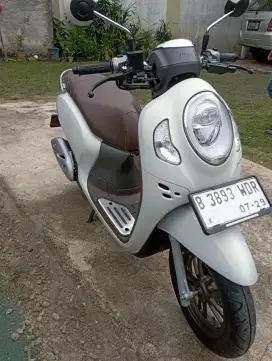 KM 4000 HONDA SCOOPY PRESTIGE 2024 LIKE NEW