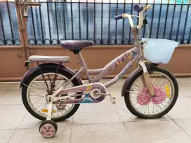 Sepeda Anak Wim Cycle Karakter Disney Warna Ungu