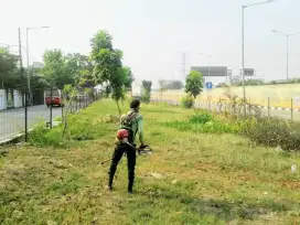 Saya menerima panggilan potong rumput taman