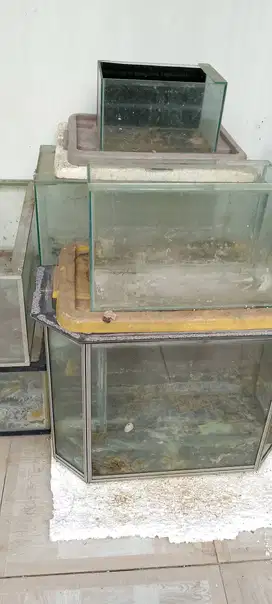 Borongan aquarium