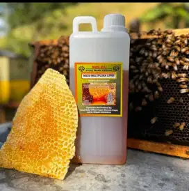 Madu 1kg murahh