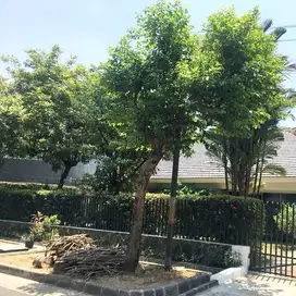 Dijual Rumah Nyaman Asri 2 Lantai Terawat Prime Area Kebayoran Baru