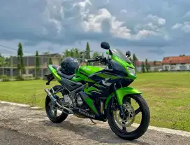 Ninja rr new 2014
