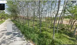 Dijual Tanah di Area Berkembang Dekat Bukit Bintang di Piyungan, Btl