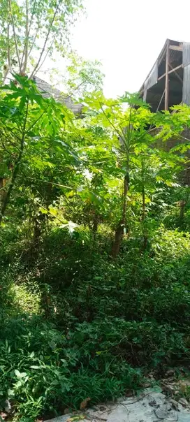 DIJUAL TANAH KECIL LOKASI CARGO DEWATA