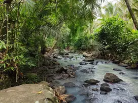 dijual tanah murah los sungai     cocok untuk villa  di tabanan bali