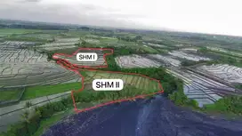 Tanah Murah Beach Front Pasut Kerambitan Tabanan