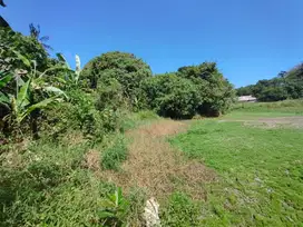 Di Jual Tanah di Tabanan