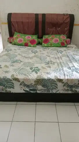Tempat tidur angel mosq