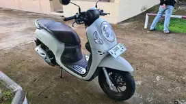 Honda Scoopy Prestige White 2022