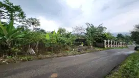 Dijual Cepat BU Tanah daerah Sentul, Jungle Land & Wsta Gunung Pancar