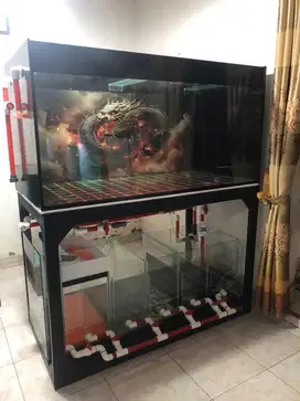 Aqurium kekinian
