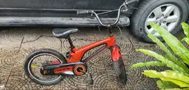 Sepeda Pacific Magnus Anak