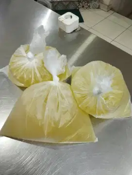 Putih Telur Kg an
