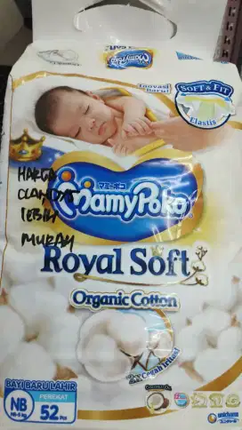 Momong Bayi (baru lahir) + bersih rumah ringan