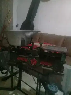 ayam kate serama 1 pasang