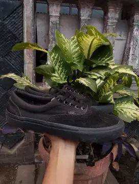 Vans era pro original