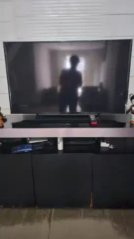 Televisi Sony  48 in
