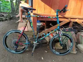 Minivello costom