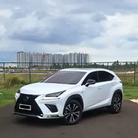 LEXUS NX300 AT 2018 Bensin
