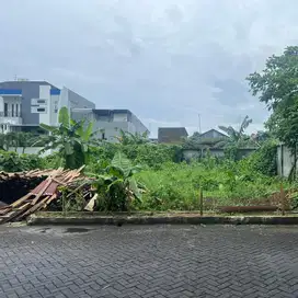 TERMURAH .. TANAH BOUGENVILLE