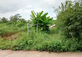 Dijual Tanah Murah Tembalang, Dekat ke Kampus Undip Semarang