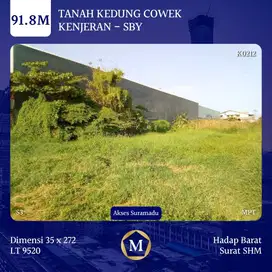 JUAL TANAH RAYA KEDUNG COWEK SHM AKSES SURAMADU COCOK BANGUN PERUMAHAN
