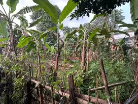Dijual Tanah Murah 450 m  Lokasi Kukupu Tanah Sareal Bogor