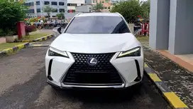Lexus UX250 UX 250 Hybrid Sunroof White On Brown 2019 Like New Low KM