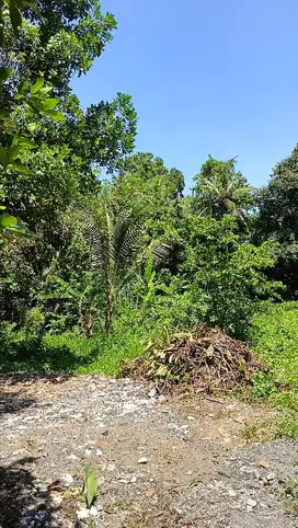 Di jual Tanah siap bangun SHM di sayan Ubud