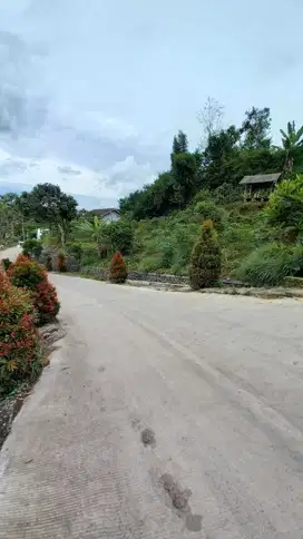 JUAL TANAH KEBON PINGGIR JALAN DI CIWIDEY
