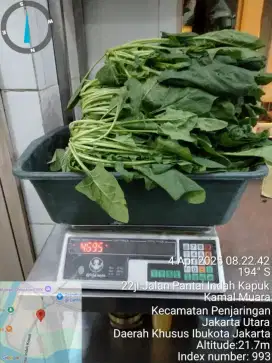 Di Cari Pegawai Pria bagian Packing Kirim sayur ke resto