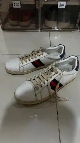 Gucci Ace shoes only