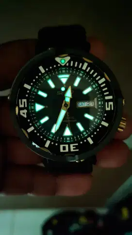 Seiko Baby Tuna SRPA82K1