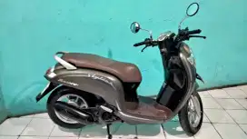 Honda Scoopy 2019