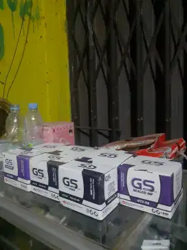 Baterai GS Baru GTZ5S