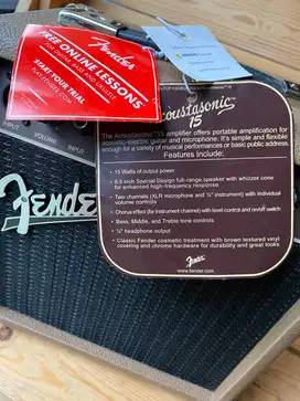 Fender Acoustasonic 15 Amplifier