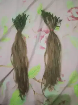 Rambut sambungan