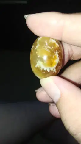 Batu anggur kristal motif kuda nil