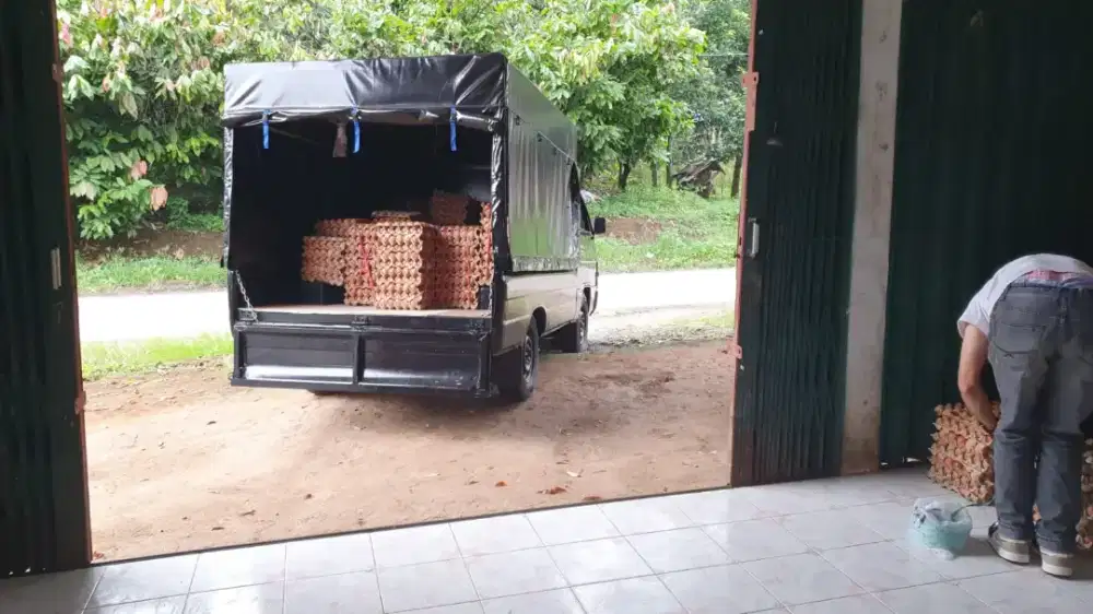 Sopir pribadi & serabutan kerja gudang