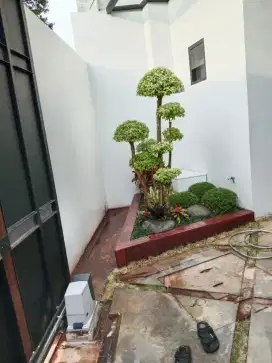 Pembuatan taman minimalis