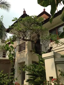 Rumah Mewah Tropical Garden + Private Pool Di Sektor 8 Bintaro Jaya