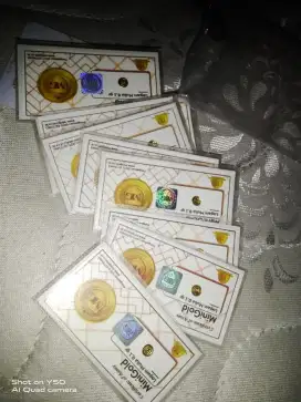 Mini gold 0.1 gr (LM)
