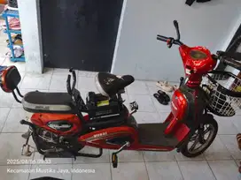 Jual Selis Murai