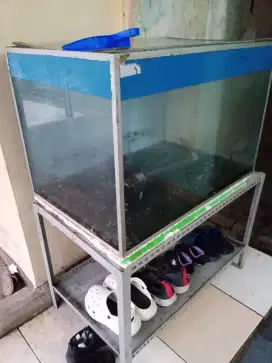Bt burung ocehan gacor