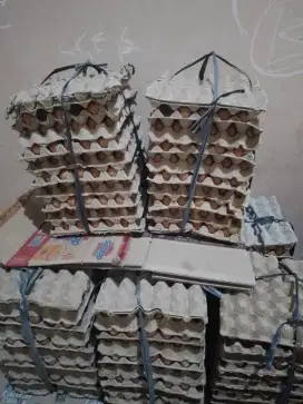 Telur ayam curah